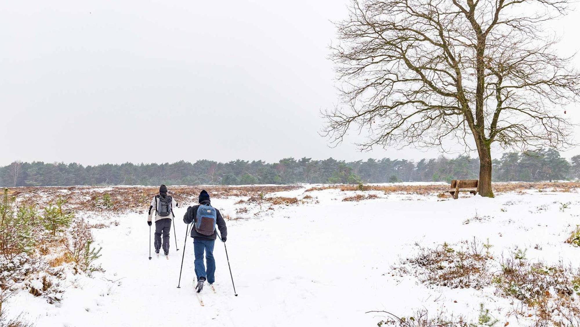 Molecaten Park Landgoed Ginkelduin Leersum Exterior foto