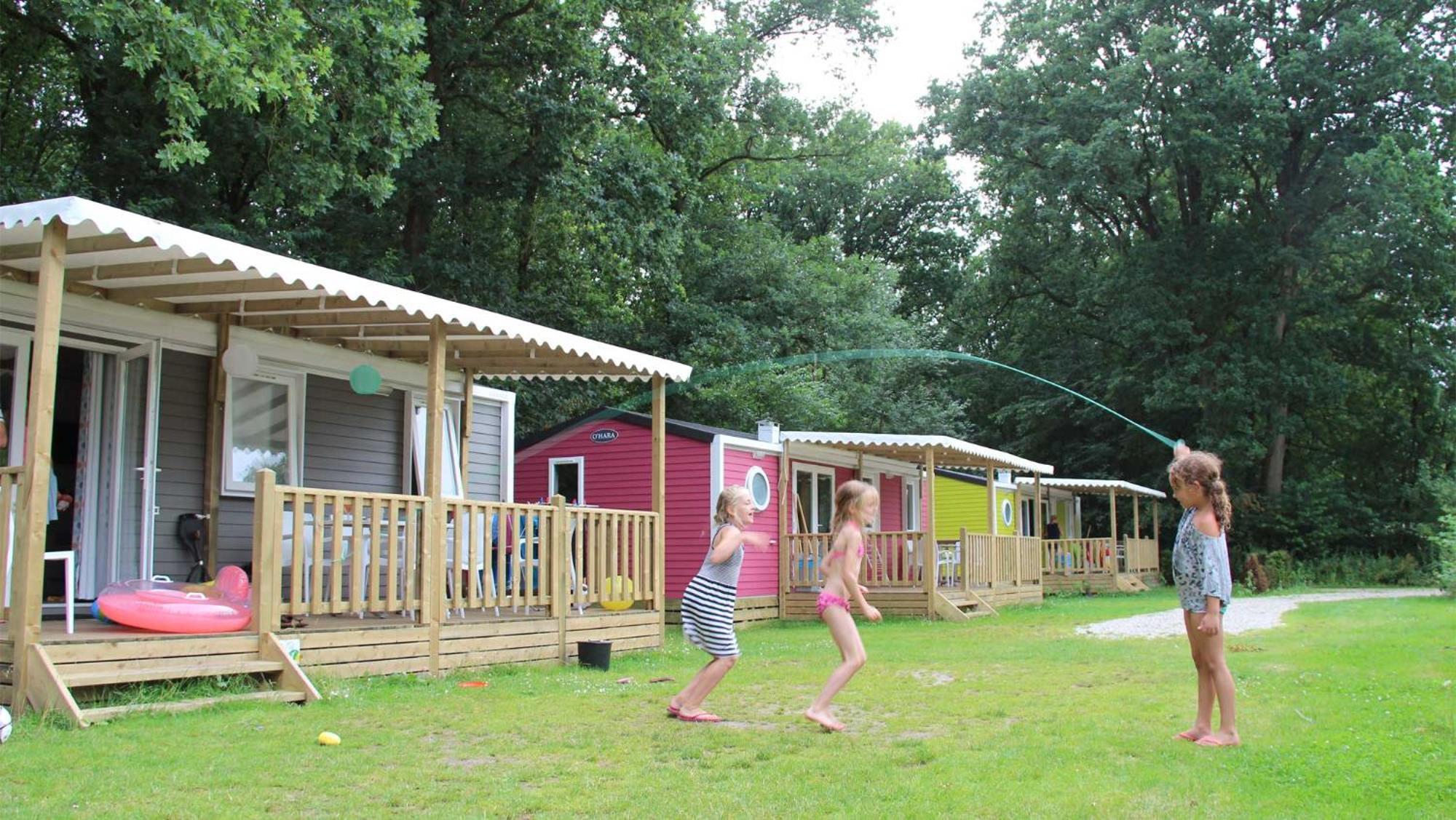 Molecaten Park Landgoed Ginkelduin Leersum Quarto foto