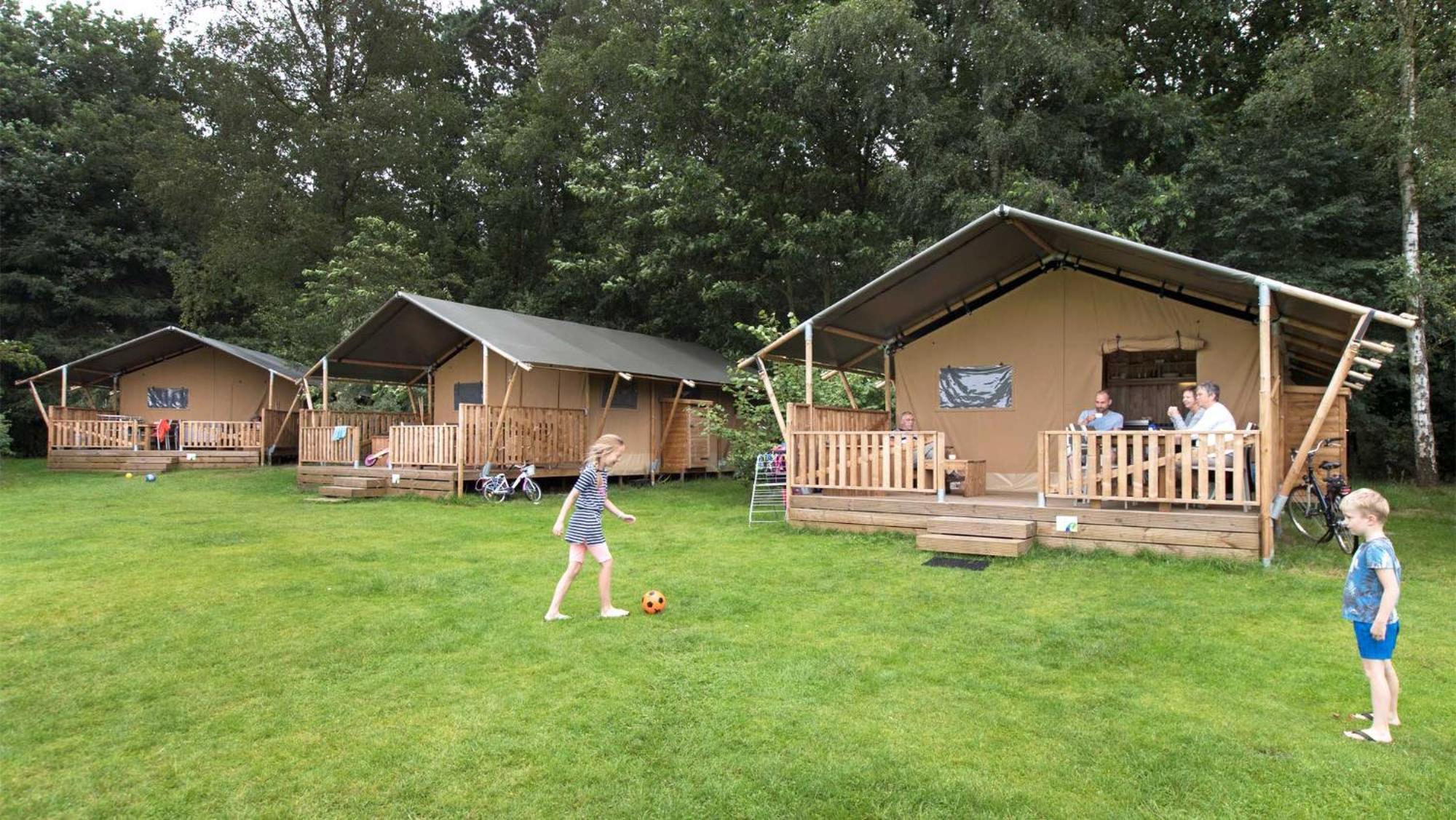 Molecaten Park Landgoed Ginkelduin Leersum Quarto foto